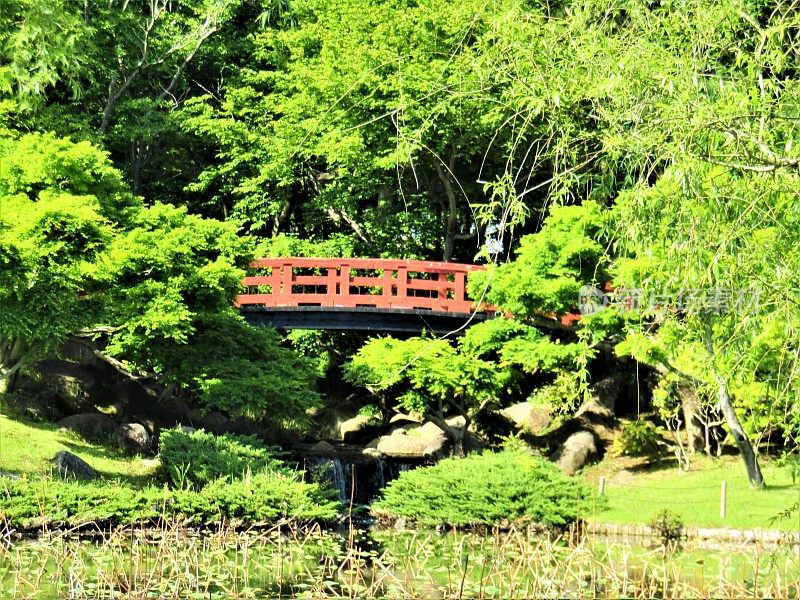 日本。四月底。晴朗的一天。公园里的红色人行桥。