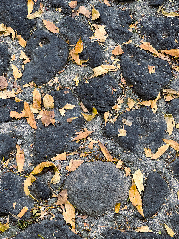 黄叶覆盖在火山岩铺就的路面上