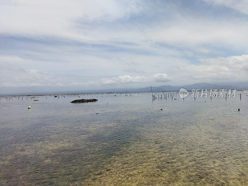 海藻农场