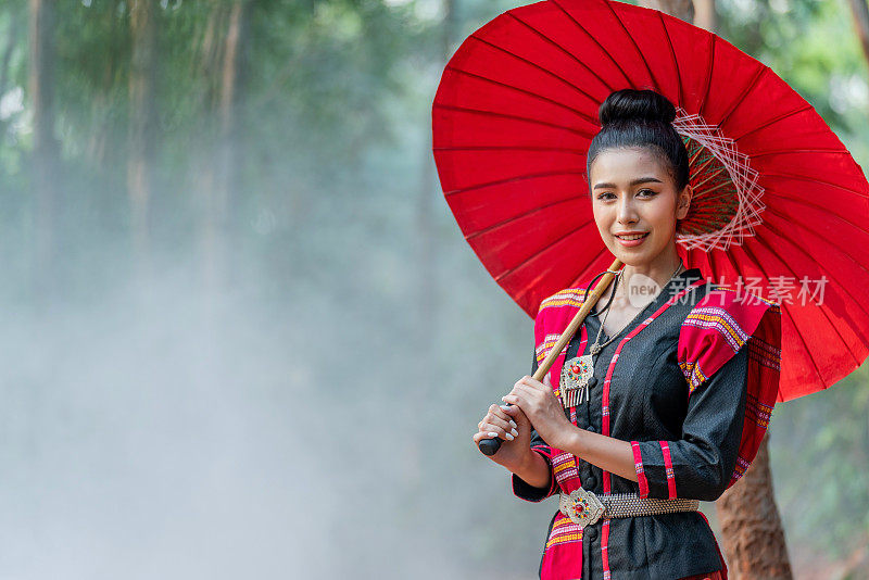 年轻美丽的亚洲女子在传统的泰国东北部是一个服装站在一头巨大的大象前面