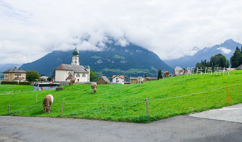 瑞士奶酪厂