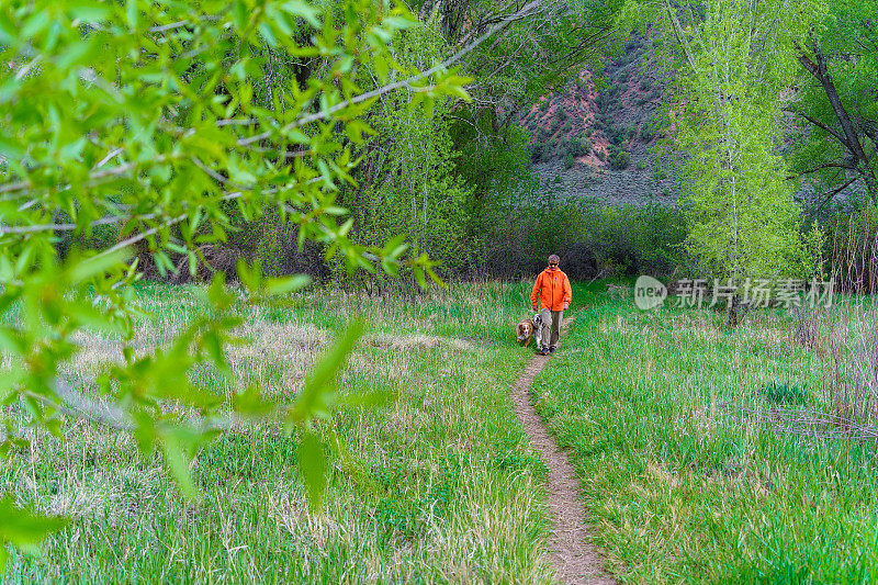 人和狗沿着风景秀丽的小径徒步旅行