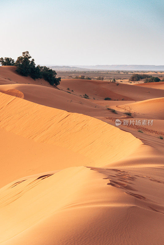 摩洛哥沙漠中的沙丘