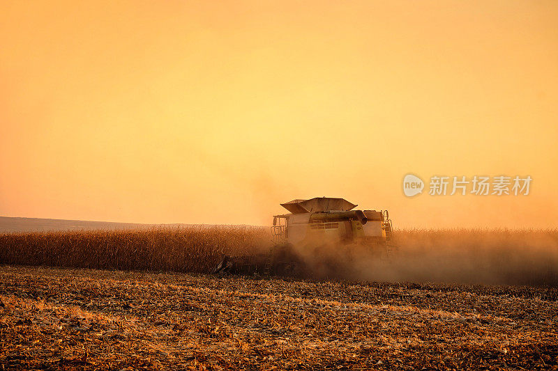 日落时分，联合收割机在农田里收割玉米的后视图
