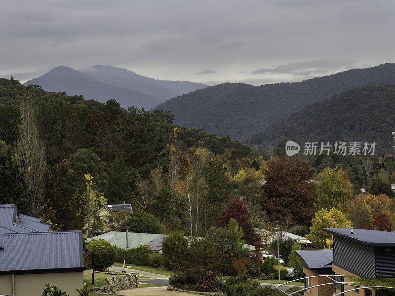 高角度观察郊区社区