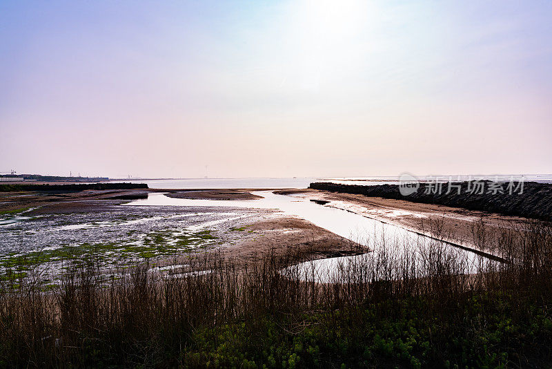 沿海风景