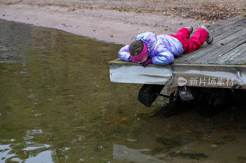 一个8岁的白人女孩躺在一个木制码头上，看着湖中的一群鱼。