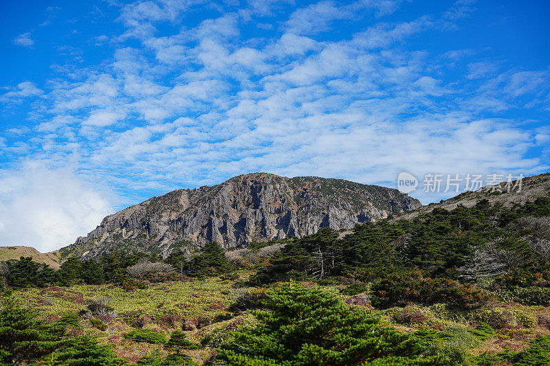 汉罗山步道(济州岛)