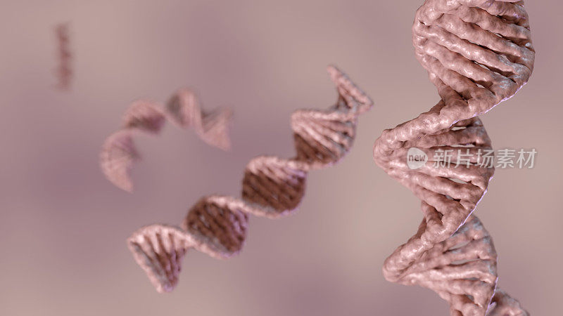 DNA的三维渲染，脱氧核糖核酸的缩写