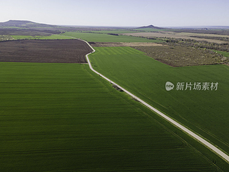 春天绿色的农田鸟瞰图。