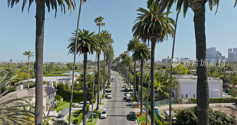 洛杉矶比佛利山庄住宅区街道的鸟瞰图，两旁排列着棕榈树