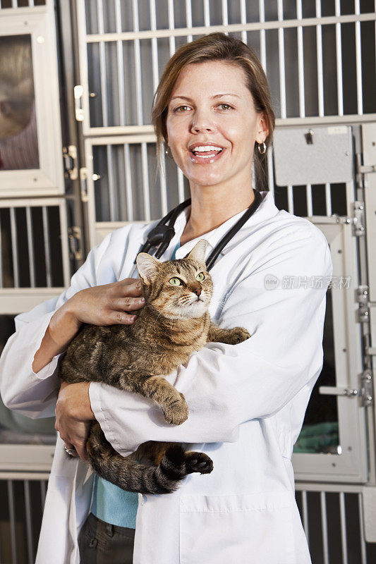 动物诊所的工作人员抱着猫