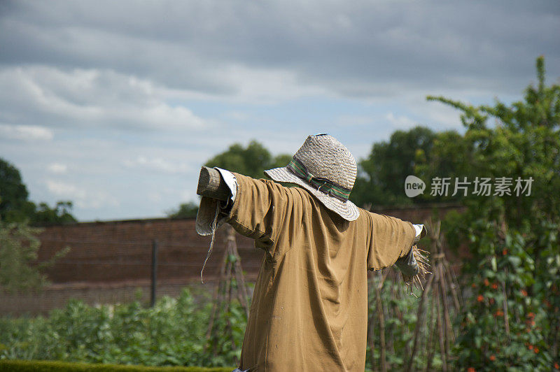 菜地里的稻草人