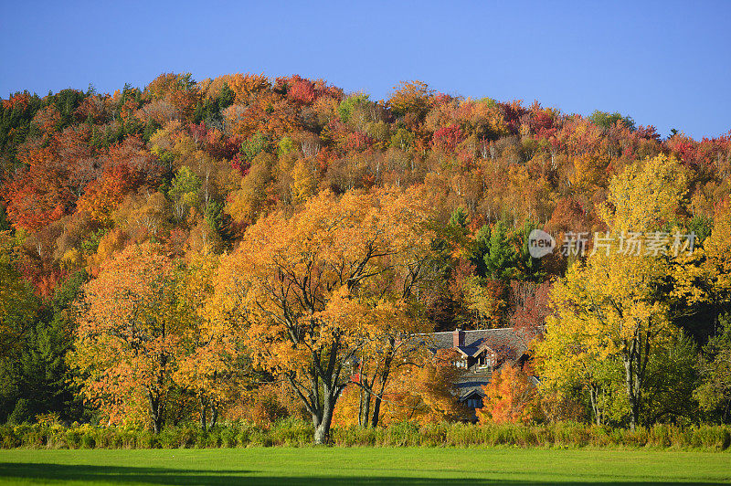 在佛蒙特州的秋天，山坡上五颜六色的枫树