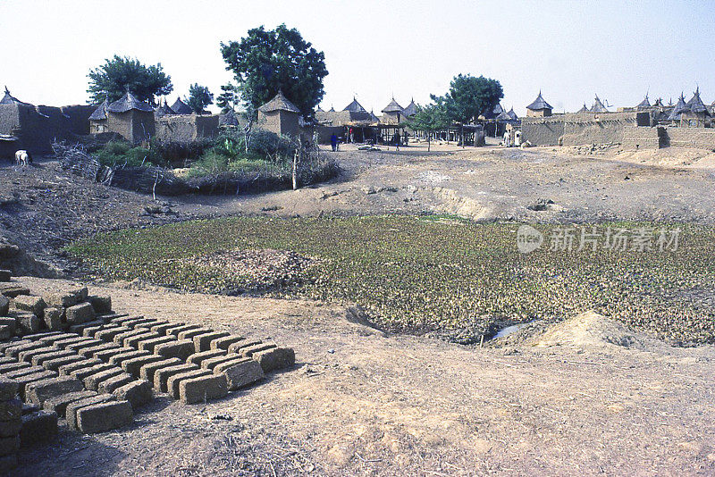 旱季村庄池塘制砖布基纳法索西非