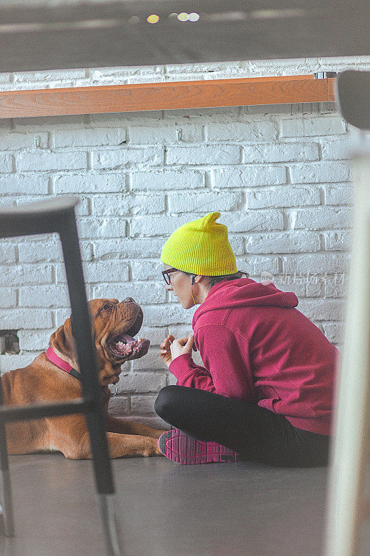 年轻快乐的女人和她的狗，法国獒犬玩耍