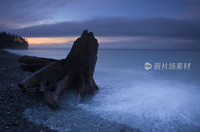 温哥华岛西海岸