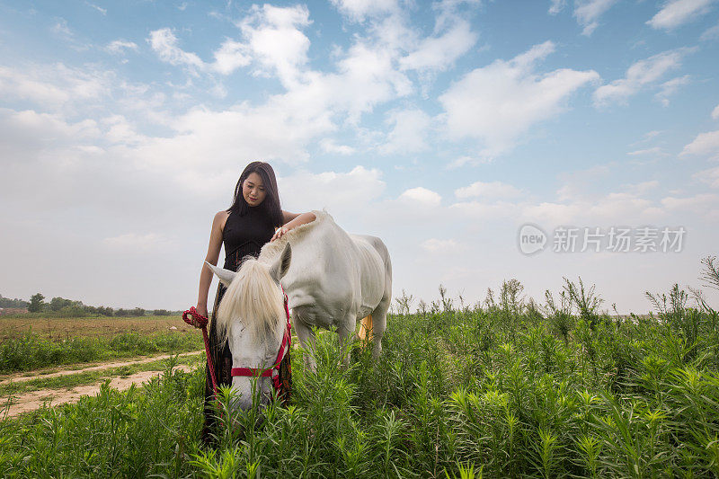 本质上的女人和马