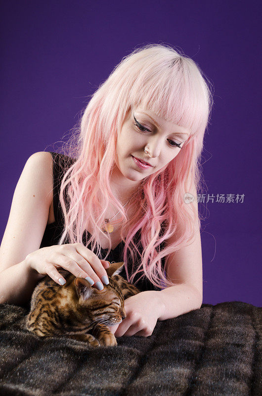 粉红色的头发美丽的爱抚昏昏欲睡的孟加拉小猫。
