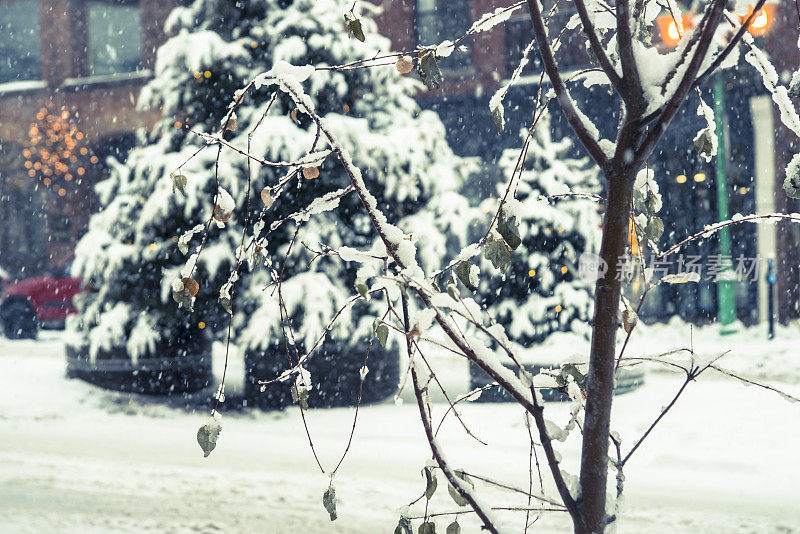 在城市背景下，冷杉树与灯光下的雪。