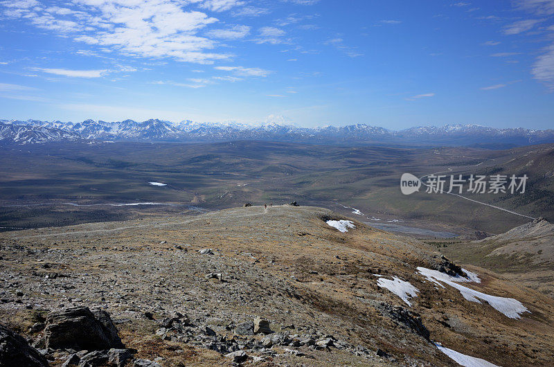 在德纳里国家公园徒步旅行野蛮的高山小径