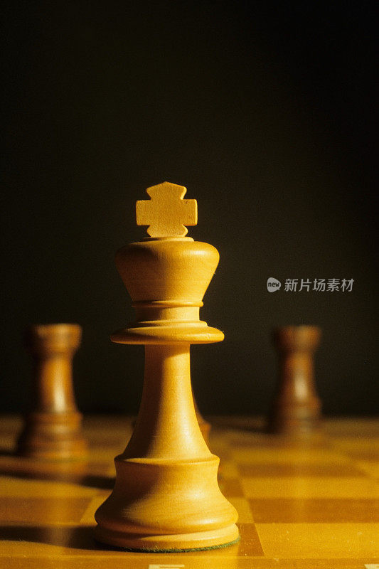 国际象棋王特写镜头