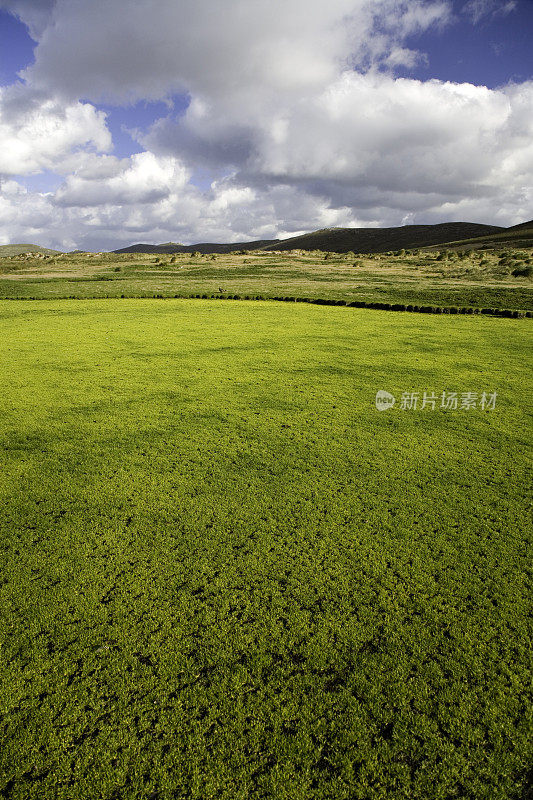 夏季景观福克兰群岛