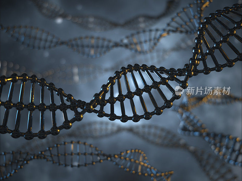 抽象分子与DNA