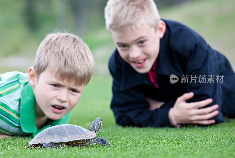 惊奇的男孩和乌龟