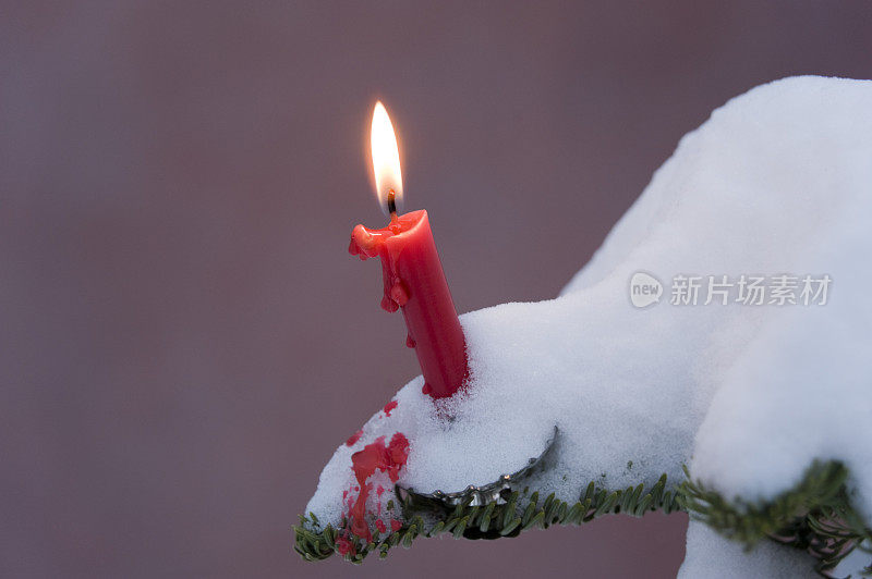 雪中的红烛