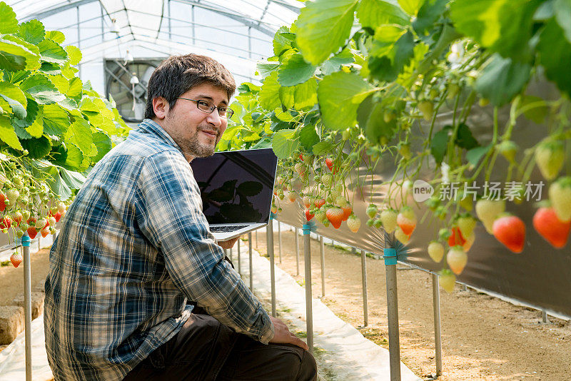 农民在温室里用电脑检查作物
