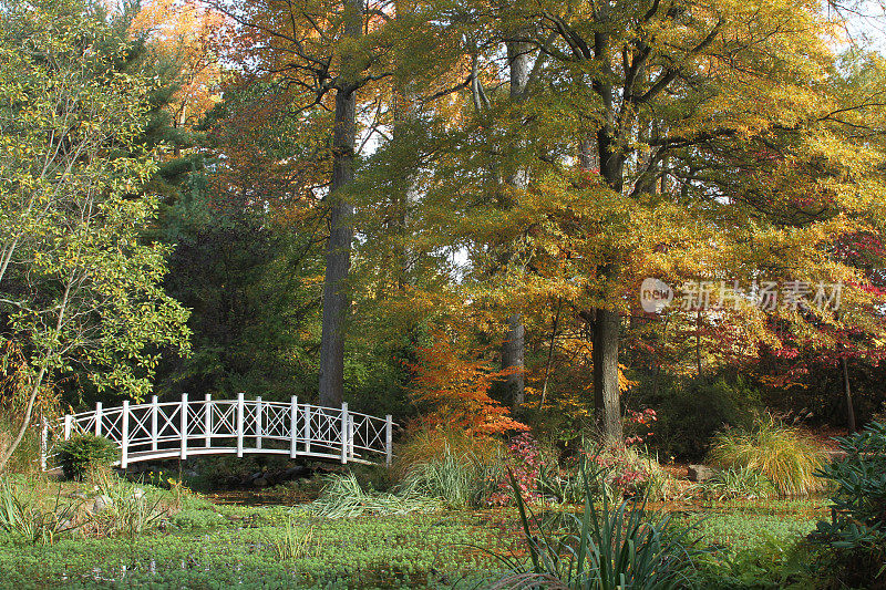 秋天的花园桥