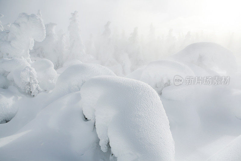 雪鬼