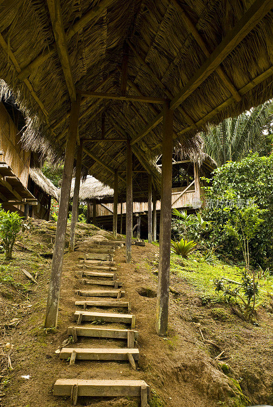 丛林小屋