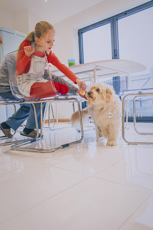 小女孩在饭桌上偷偷喂狗