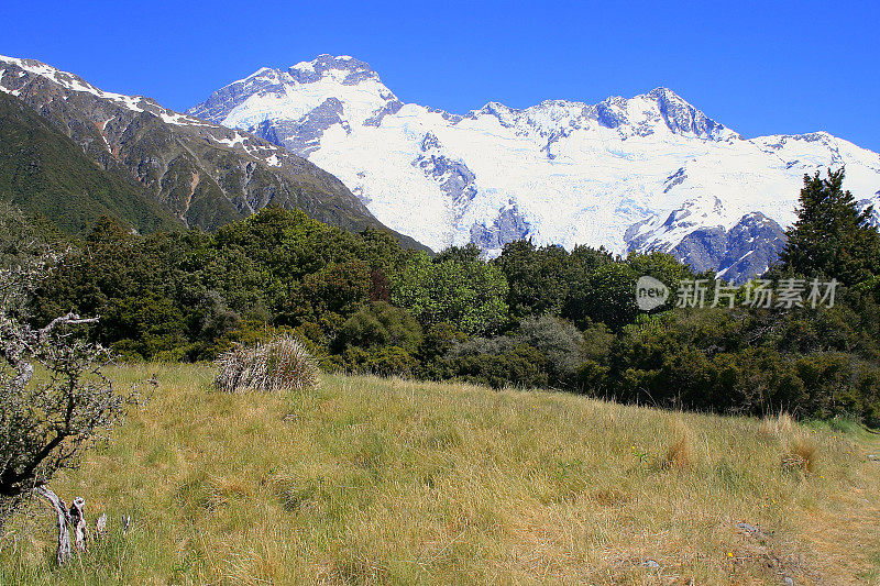 雄伟的库克山冰雪覆盖的山脉和冰川从胡克格林山谷，坎特伯雷，田园诗般的南新西兰