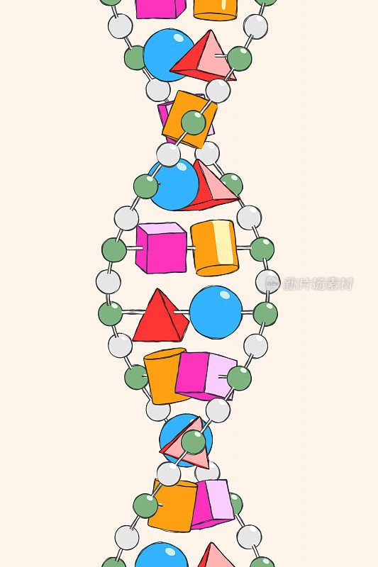 DNA分子结构XL