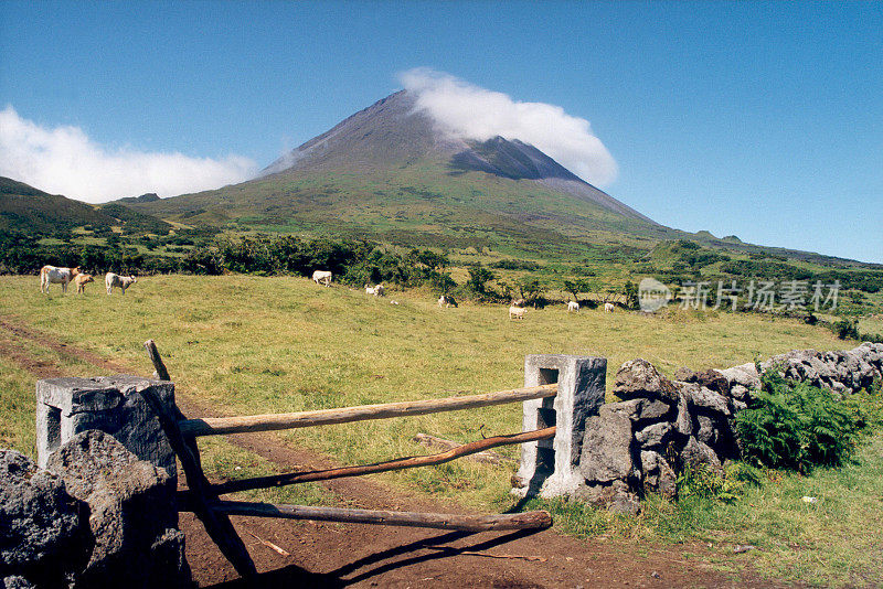 Pico岛全景