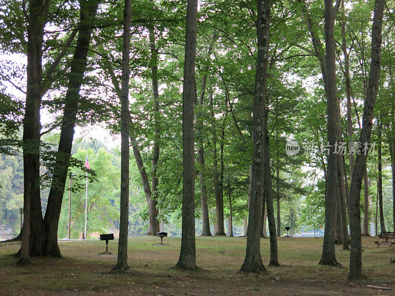 森林野餐区，木炭烤架，野餐桌子，露营地，阿迪朗达克山，纽约