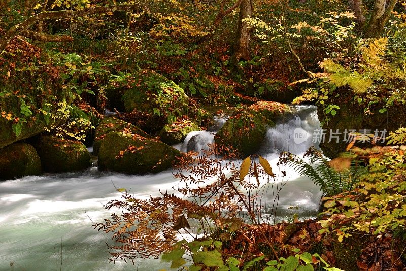 日本青森市秋天的磐濑山溪