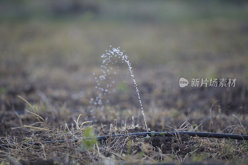 农业灌溉系统