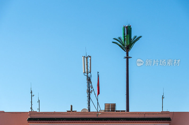 摩洛哥伪装成棕榈树的手机发射塔