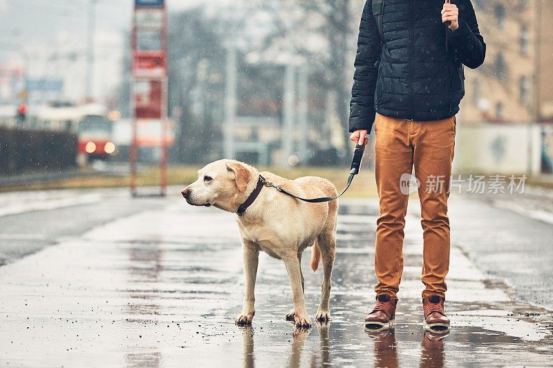 男人和狗在雨中
