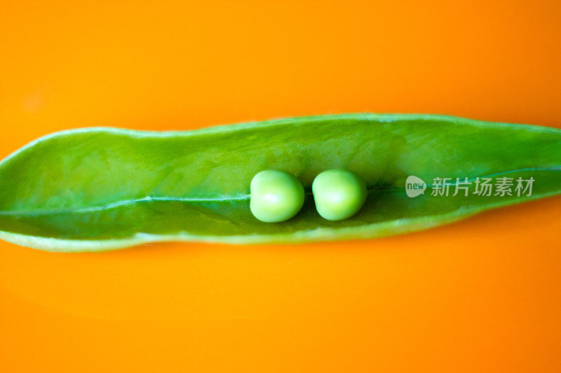 两个完美的豌豆荚，充满活力的橙色背景
