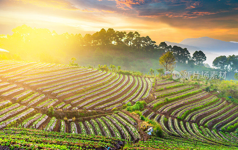 泰国北部的山景，日出和薄雾