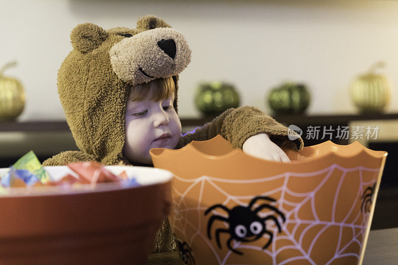 可爱的小男孩在熊的服装里吃或抓糖果