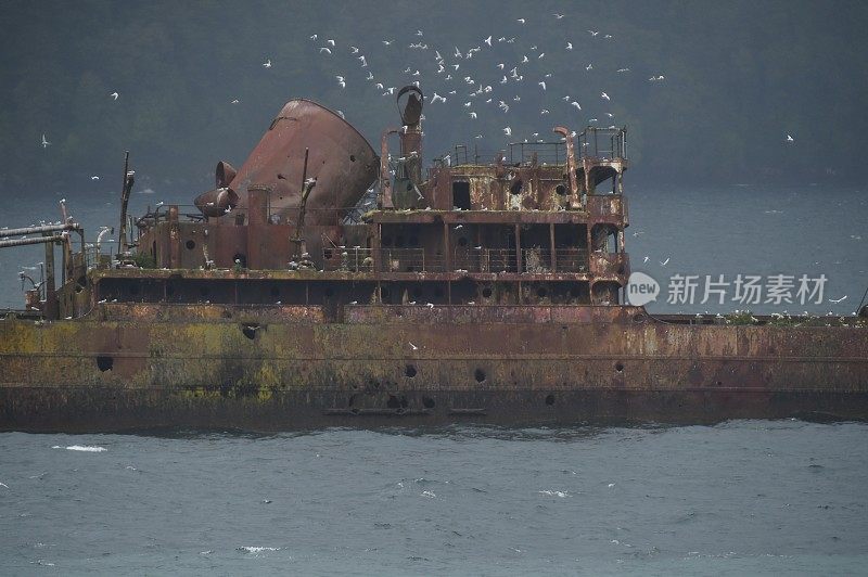 列奥尼达船长海难