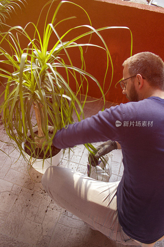 种植植物的爱好