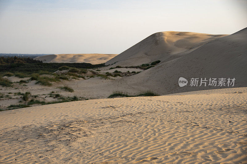 美丽的日落斯堪的纳维亚沙丘全景位于丹麦西海岸