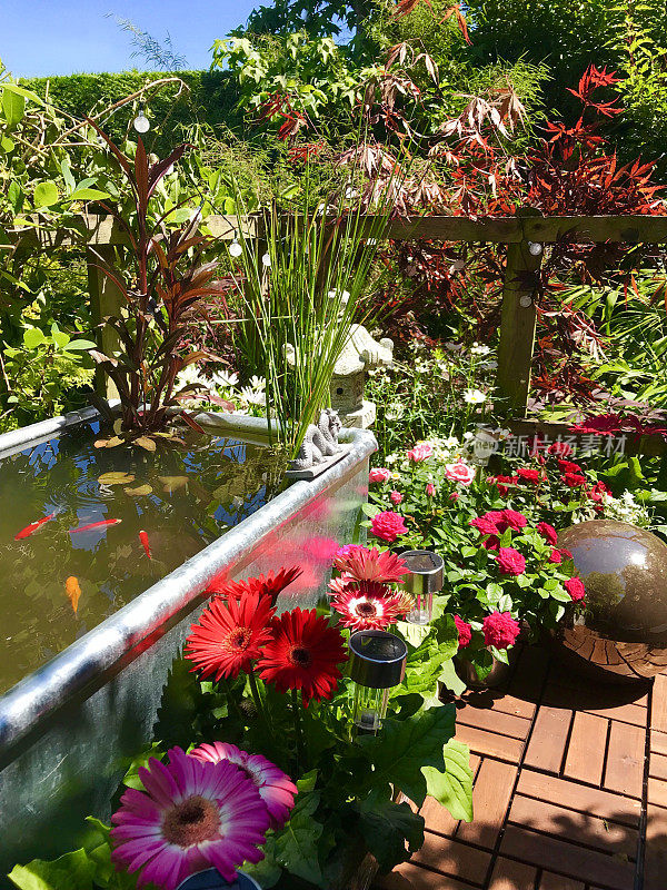 花园的树屋阳台平台阳台在夏天与锌金属槽池塘水功能，太阳能喷泉泵，金鱼鱼，边缘植物，红色微型玫瑰，粉色非洲菊花，柚木装饰瓷砖，太阳能照明，照明